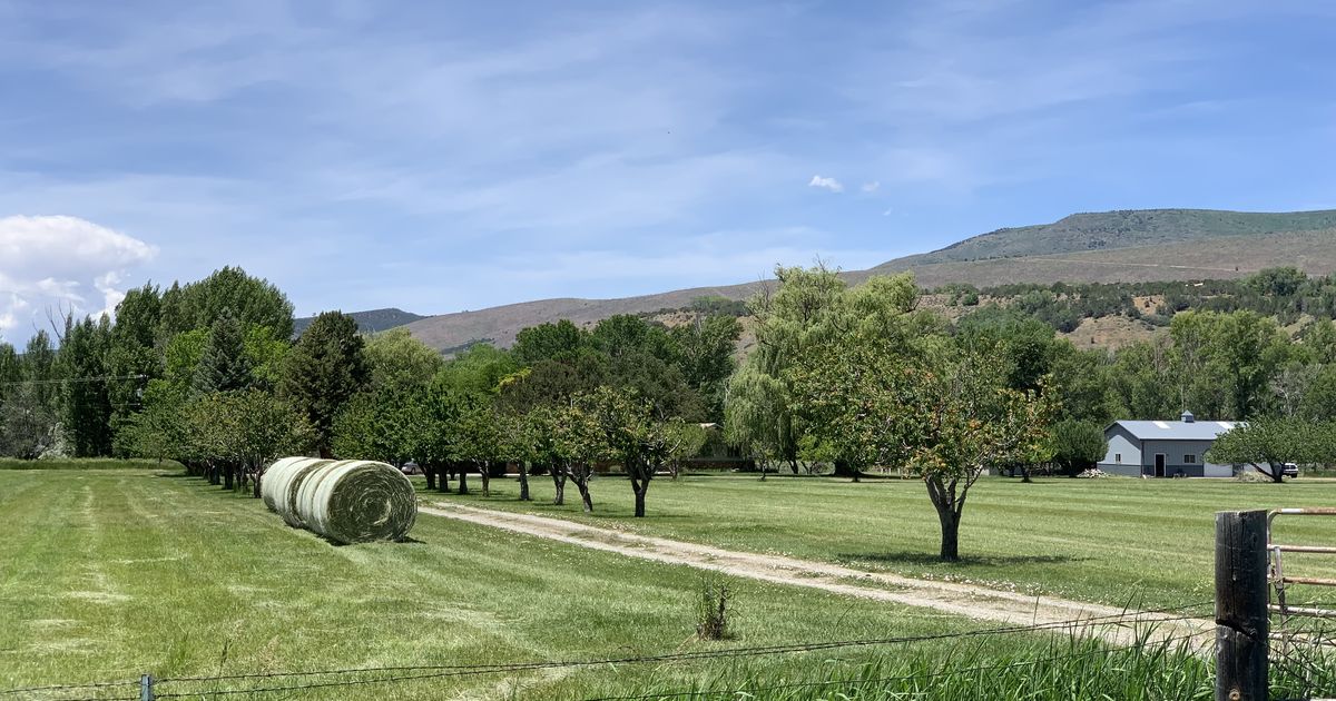 14025 Burgess Ln, Paonia, CO 81428 ListReports